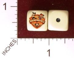 dice with drawings