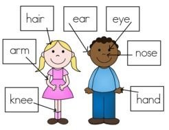 Ä°llustration of All About Me Preschool Worksheet
