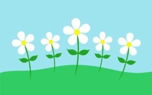 clipart of the white flowers