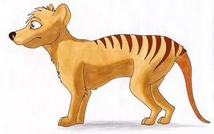 animated Tasmanian tiger