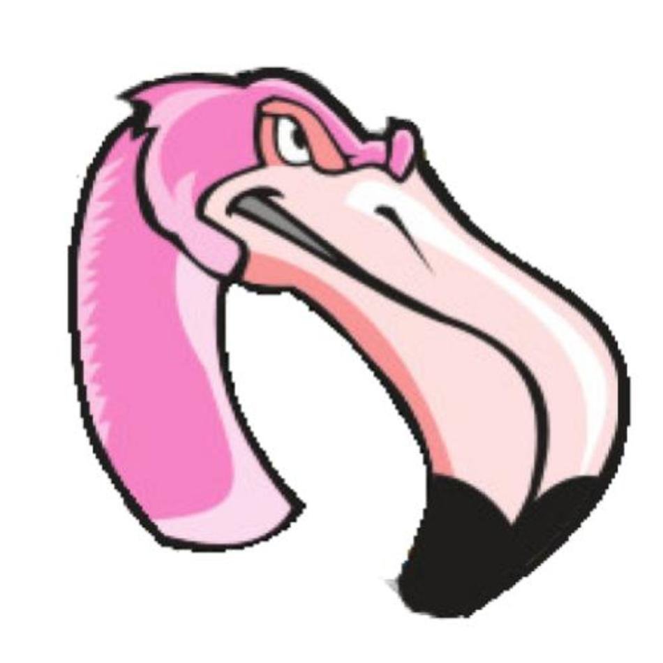 Flamingo Clip Art N14