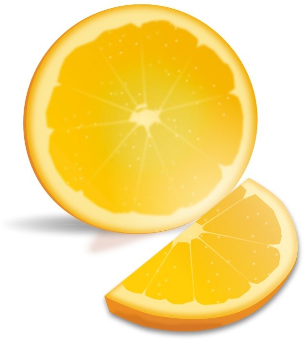 Orange Slice Drawing