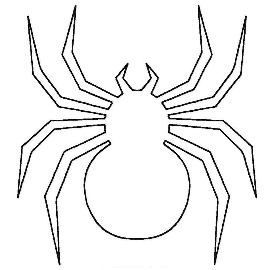 black and white picture of a spider on a white background