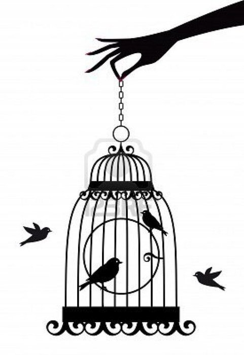 Bird Cage Drawing Tumblr