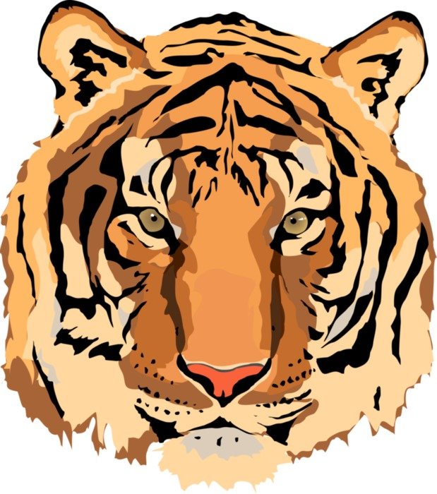 Beautiful and colorful drawing of the tiger clipart