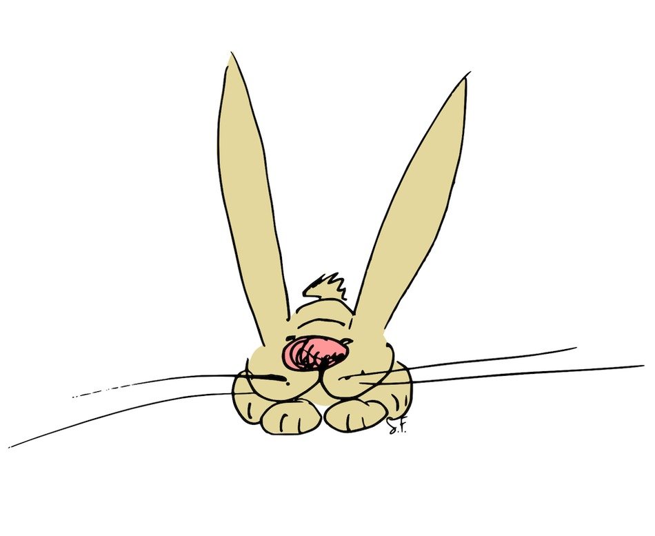 Free Bunny drawing