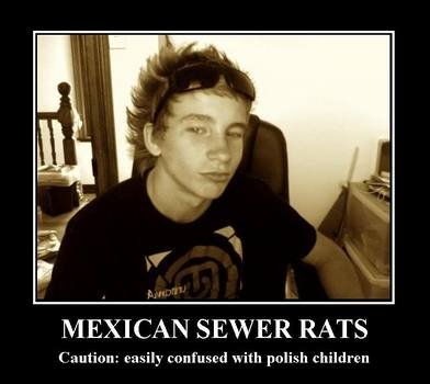 Mexican Sewer Rat