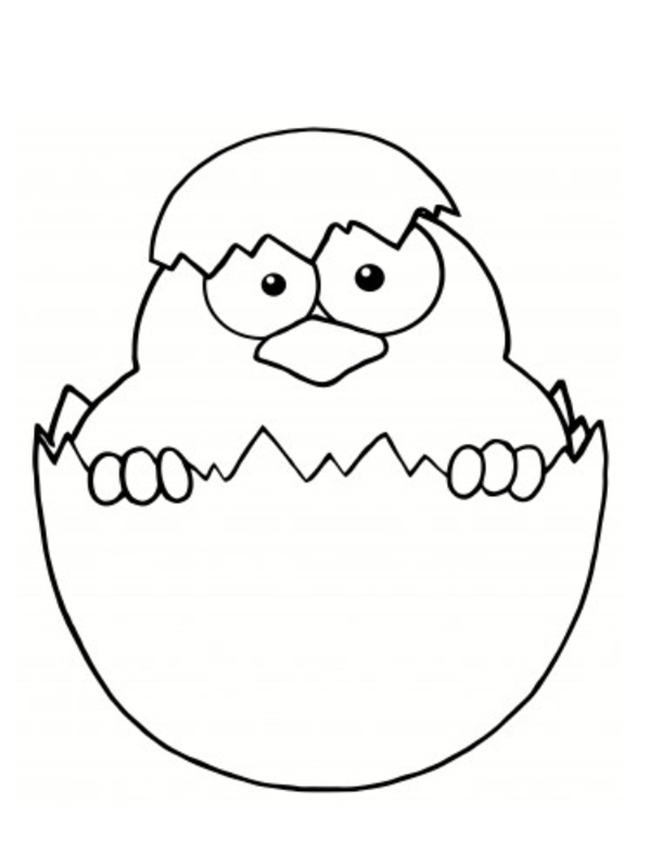 Chouette Dessin Anim Drawing Free Image Download