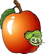 clipart of the worm is in an apple