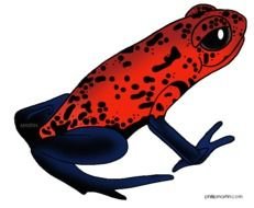 Poison Dart Frog Clip Art N8