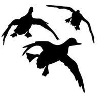 Duck Hunting Decals