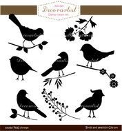 Black Birds Silhouetts drawing