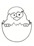 Chouette Dessin Anim drawing