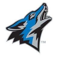 Cal State San Bernardino Logo