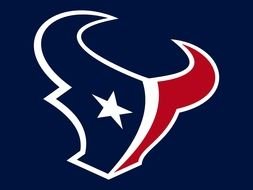 Houston Texans bull Logo drawing