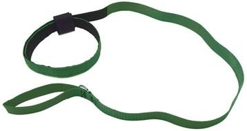 photo of a green collar and a dog leash