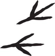 Foot Print Clip Art N8