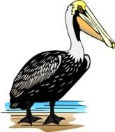 Pelican Clip Art N22