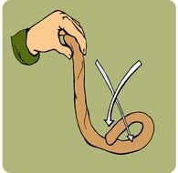 knot a rope