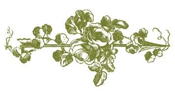 Vintage Arrow Graphic flowers drawing