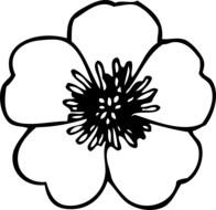 White Hawaiian Flowers drawing