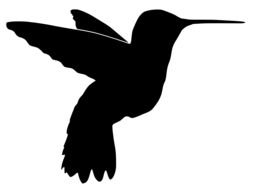 silhouette of a hummingbird