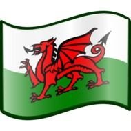 Welsh Flag N2