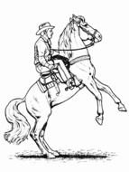 black and white picture of a rider on a horse on a white background