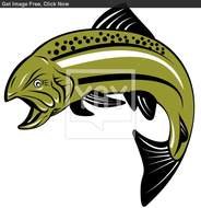 Trout Fish Clip Art N3
