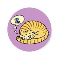 Cat Nap Clip Art