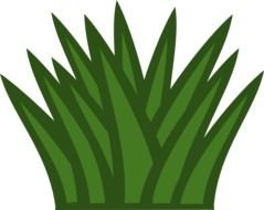 Flower Bush Clip Art N2