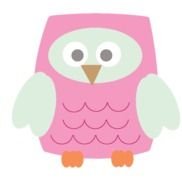 painted pink owl with green wings