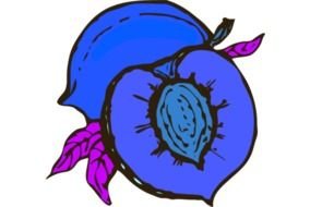 Cut Fruit Clip Art