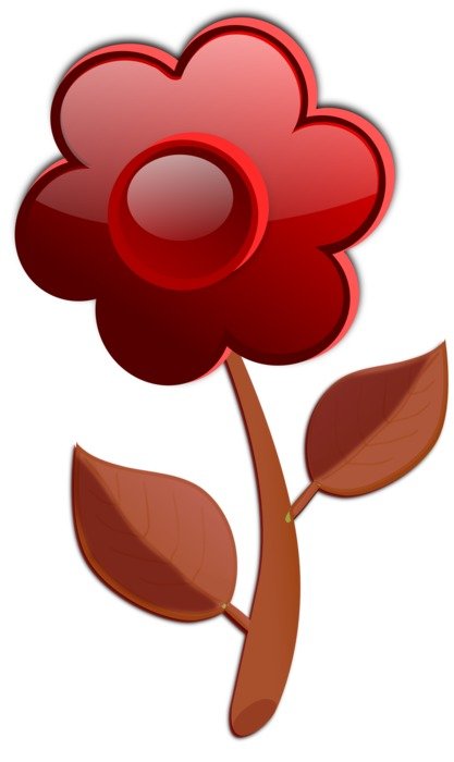 computer burgundy flower