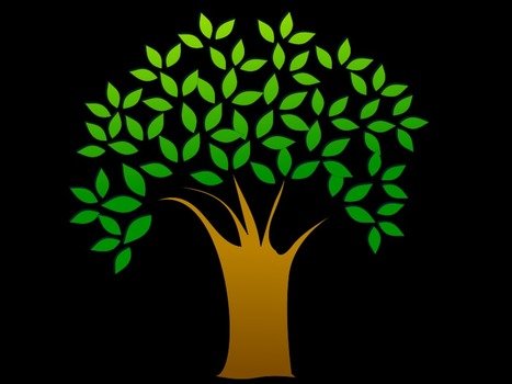 tree with green leaves on a black background