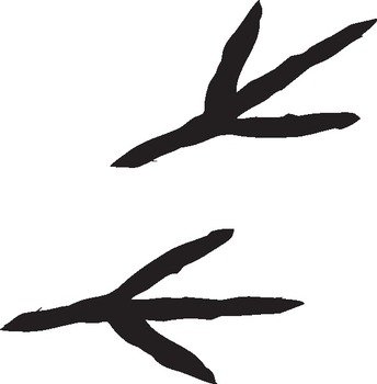 Foot Print Clip Art N8
