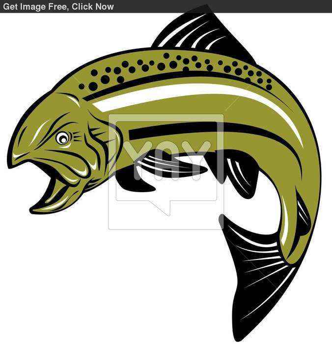 Trout Fish Clip Art N3