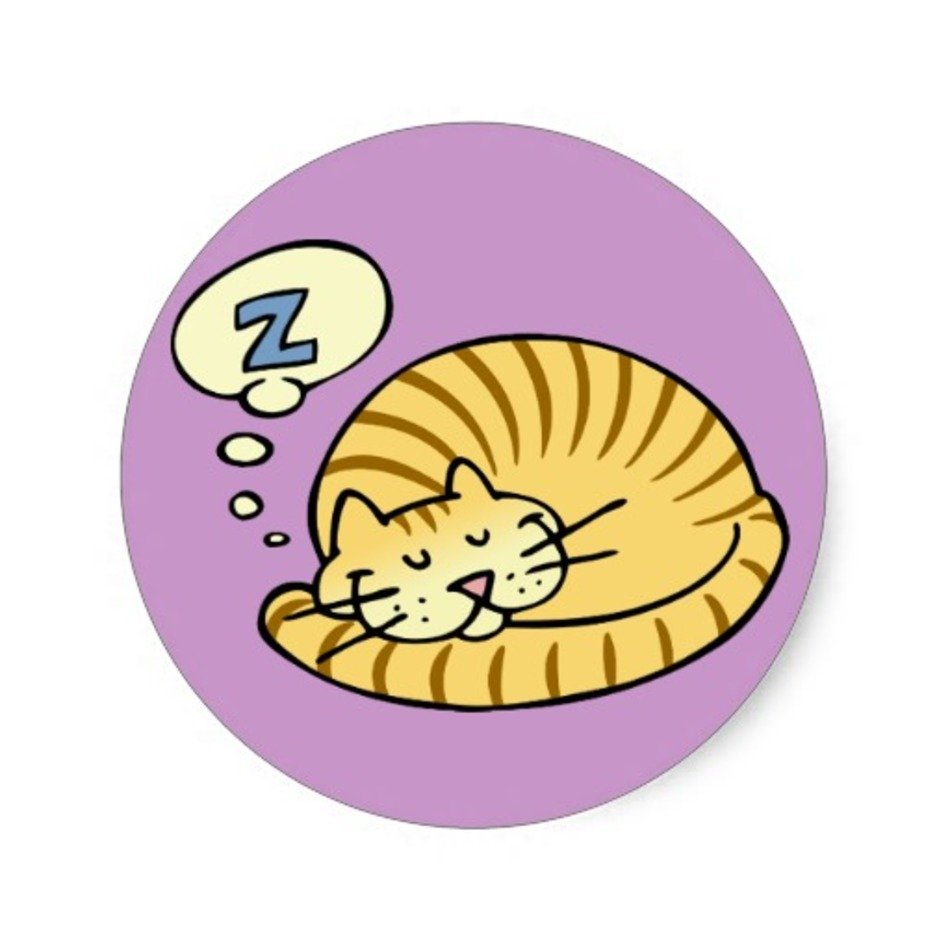 Cat Nap Clip Art free image download