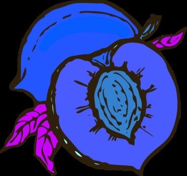 Cut Fruit Clip Art