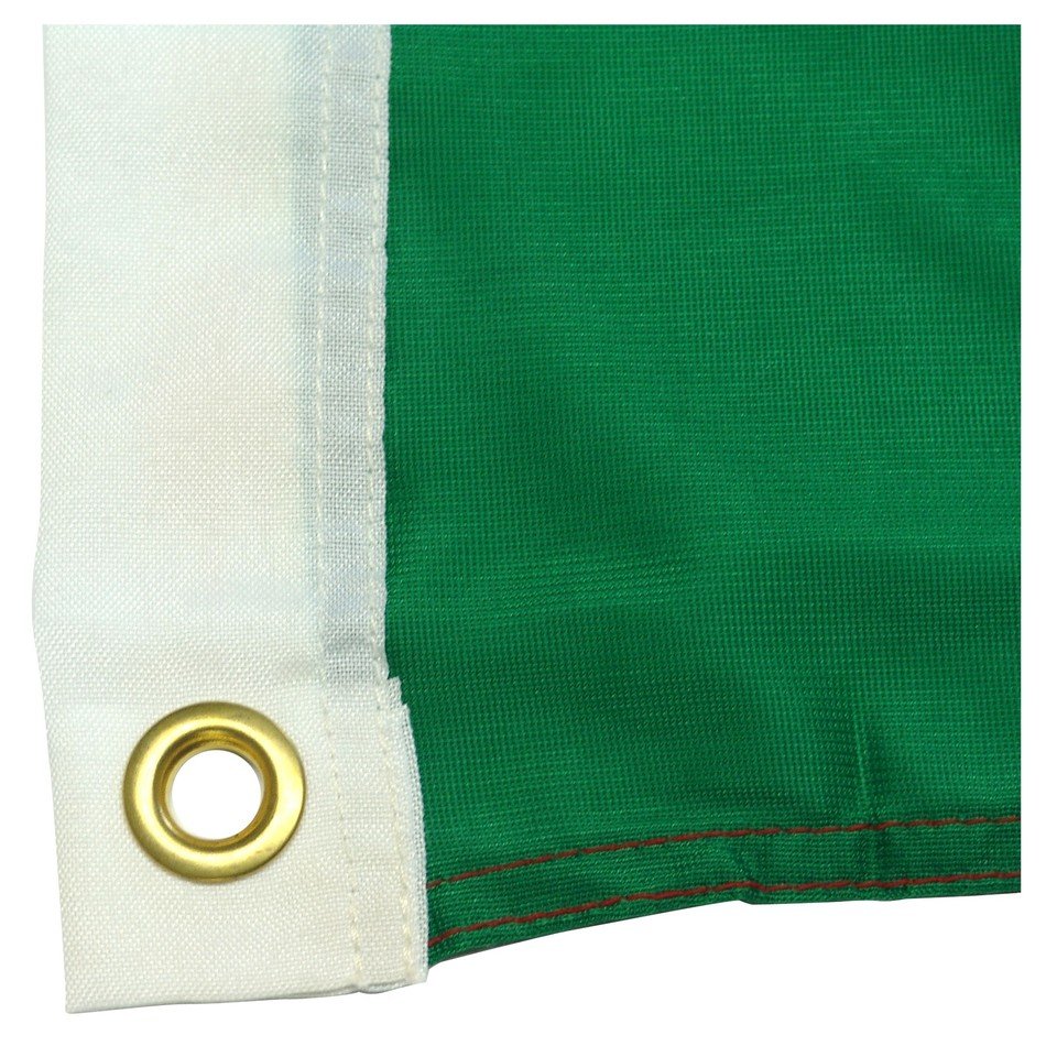 photo of part of mexican flag with metal rivet