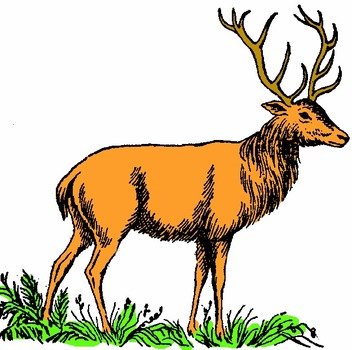 Arthurs Color Mammal Clip Art Page 2