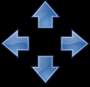 Next Button Icon