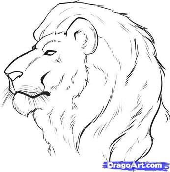 How To Draw Lion Face