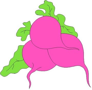 Beet Vegetable Clip Art N2