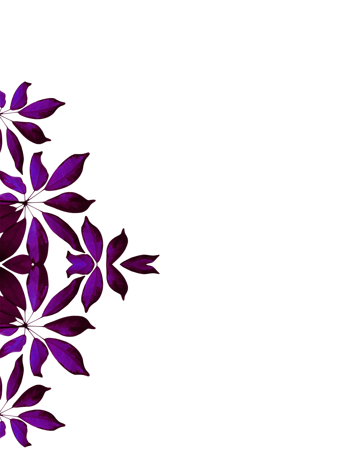 Flower Border Designs Drawing Free Image