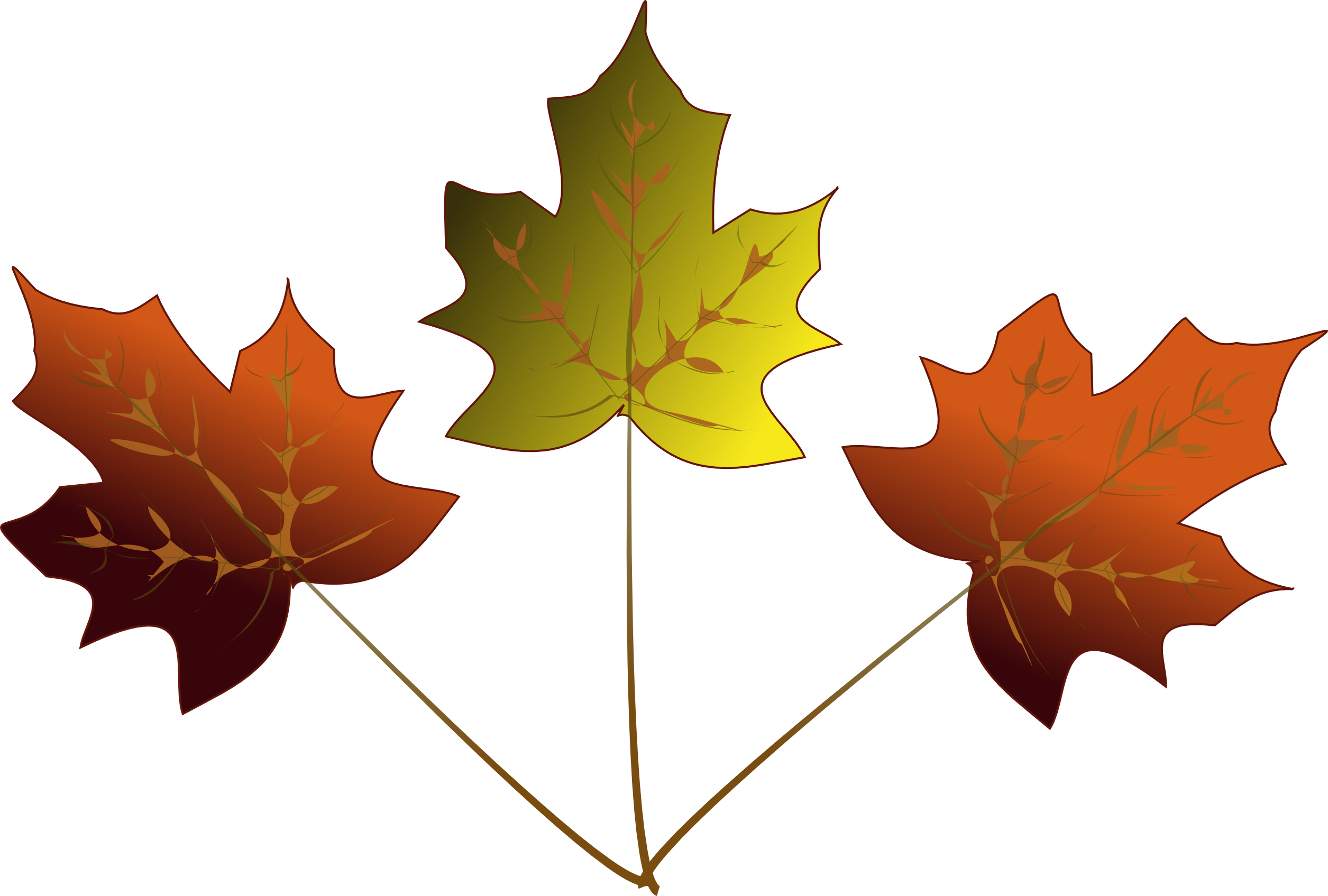 Osrs Maple Leaves - ds1a6y0
