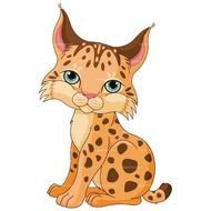 Cartoon Bobcat Clip Art N3