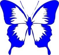 Butterfly Clip Art N99