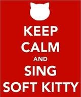 Big Bang Theory Love