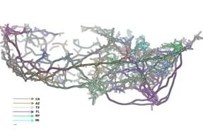 colorful 3D graph visualization
